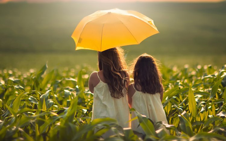 поле, девочки, зонтик, field, girls, umbrella