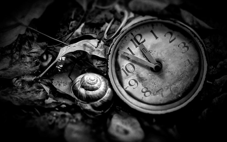 чёрно-белое, часы, время, циферблат, black and white, watch, time, dial