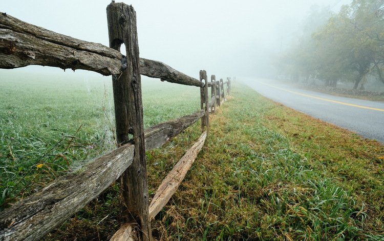 дорога, природа, туман, забор, road, nature, fog, the fence