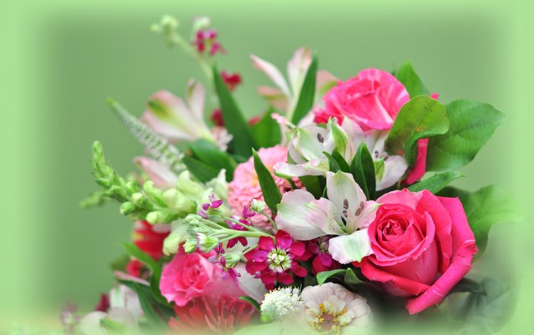 цветы, фон, букет, flowers, background, bouquet