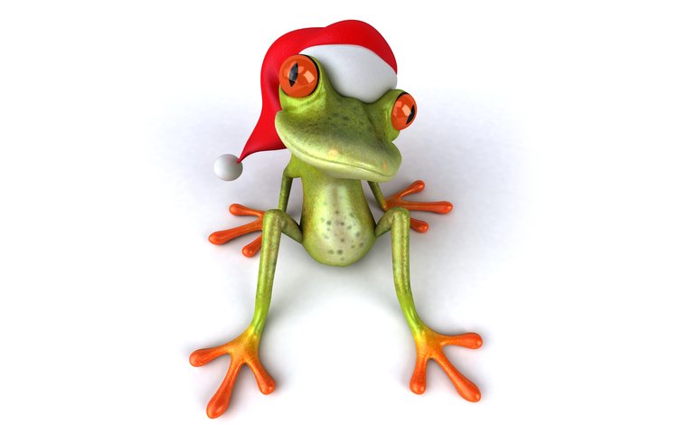 глаза, лягушка, шапка, праздник, eyes, frog, hat, holiday