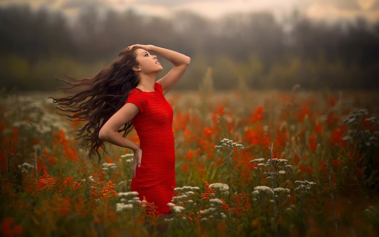 девушка, настроение, платье, поле, волосы, ветер, girl, mood, dress, field, hair, the wind