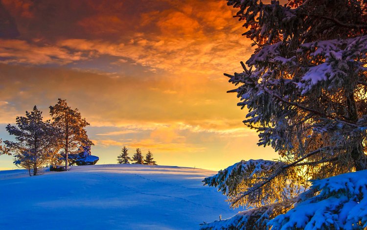небо, сумерки, деревья, норвегия, снег, природа, зима, пейзаж, закат солнца, камень, the sky, twilight, trees, norway, snow, nature, winter, landscape, sunset, stone