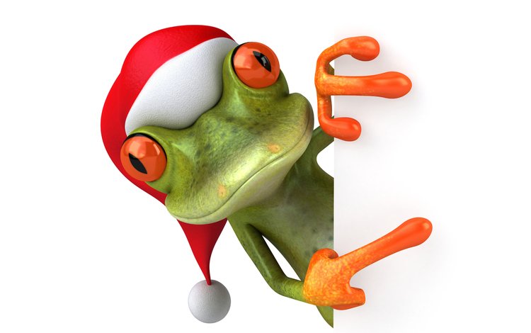 глаза, лягушка, шапка, праздник, eyes, frog, hat, holiday