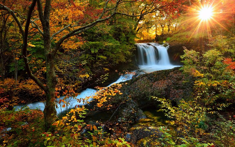 деревья, река, солнце, лес, водопад, осень, trees, river, the sun, forest, waterfall, autumn