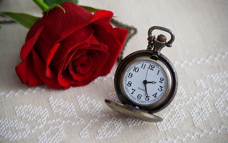 цветок, роза, часы, время, времени, циферблат, цветком, clock, flower, rose, watch, time, dial