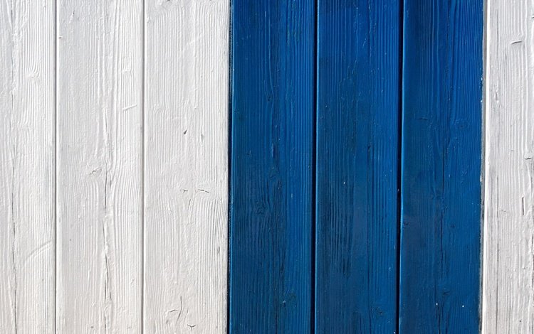 синий, доска, забор, белый, краска, blue, board, the fence, white, paint