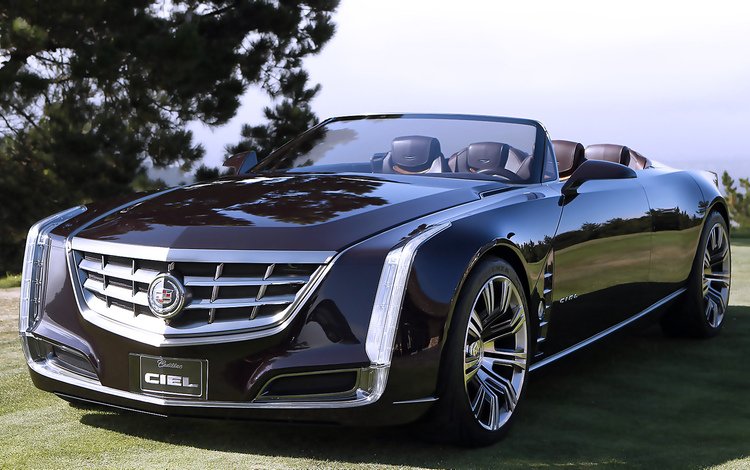 небо, трава, авто, крутой, cadillac ciel cabrio, the sky, grass, auto, cool