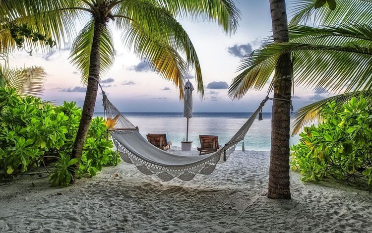 пляж, пальмы, гамак, курорт, мальдивы, beach, palm trees, hammock, resort, the maldives