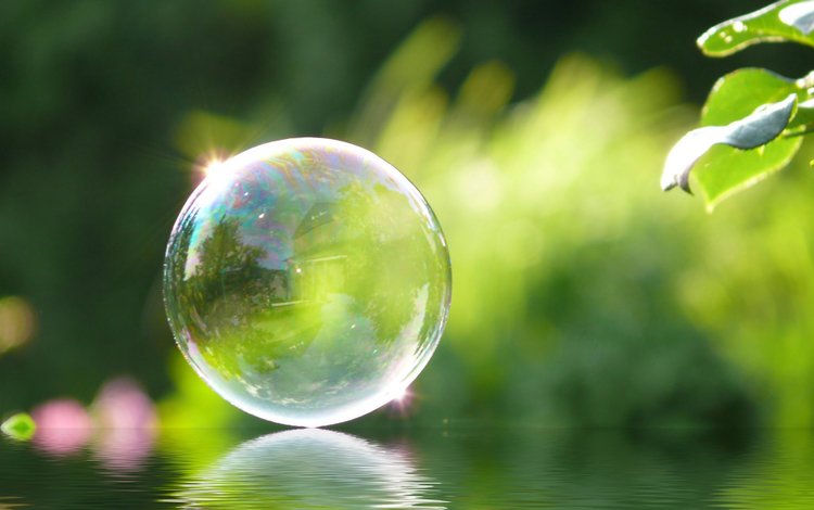 отражение, блики, мыльный пузырь, reflection, glare, bubble