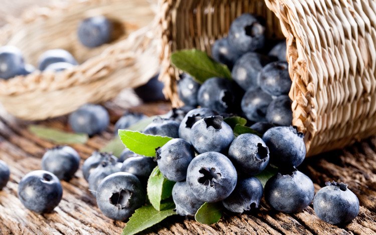 ягода, ягоды, лесные ягоды, черника, корзинка, парное, черничный, черника.корзинка, berry, berries, blueberries, basket, fresh, blueberry, blueberries.basket