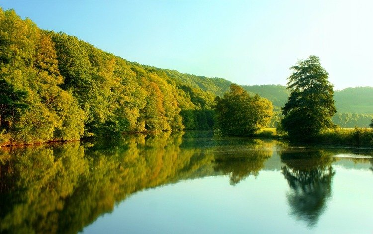 деревья, река, отражение, trees, river, reflection