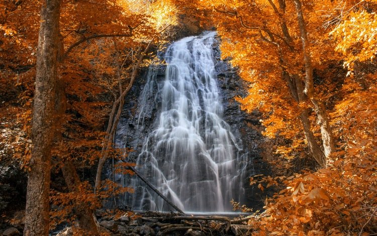 лес, водопад, осень, каскад, forest, waterfall, autumn, cascade