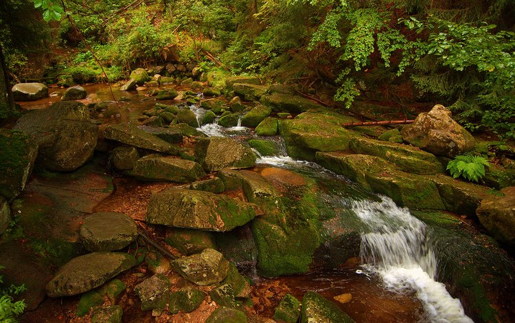камни, ручей, водопад, поток, мох, природа.вода, stones, stream, waterfall, moss, nature.water