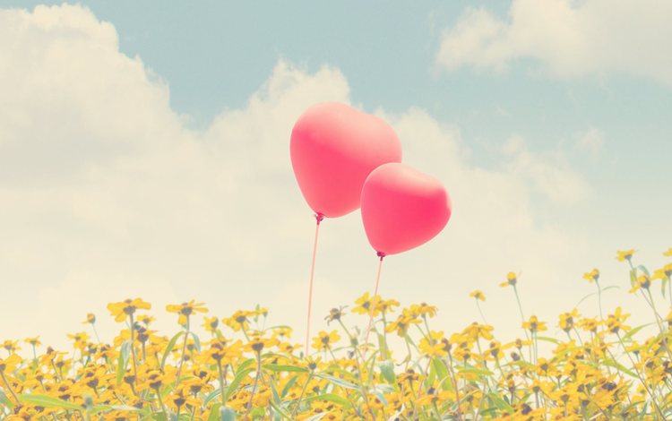небо, цветы, воздушные шары, the sky, flowers, balloons