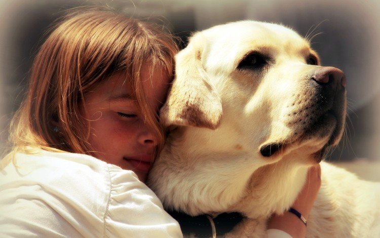 настроение, собака, девочка, друзья, лабрадор, mood, dog, girl, friends, labrador