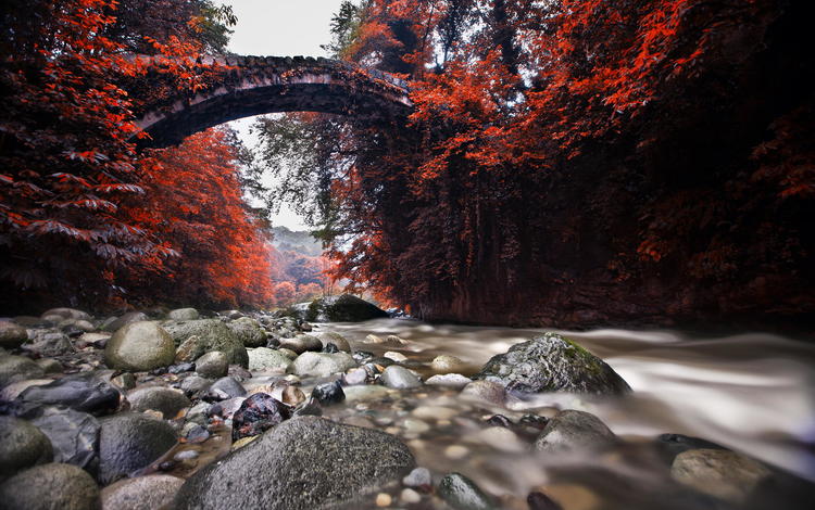река, природа, камни, мост, осень, river, nature, stones, bridge, autumn