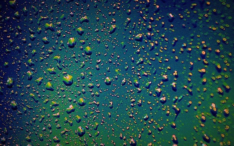 вода, текстура, зелёный, фон, капли, воды, капли дождя, marta diarra, water, texture, green, background, drops, raindrops