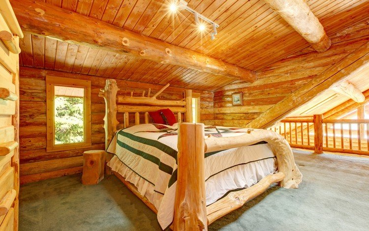 дерево, интерьер, дизайн, кровать, tree, interior, design, bed