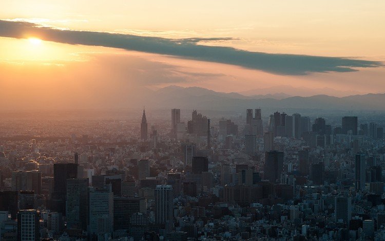 солнце, закат, япония, небоскребы, здания, токио, shinjuku, tokyo skytree, the sun, sunset, japan, skyscrapers, building, tokyo