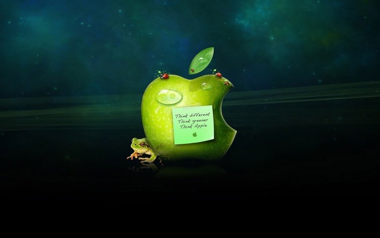 капли, лягушка, яблоко, стикер, эппл, drops, frog, apple, sticker