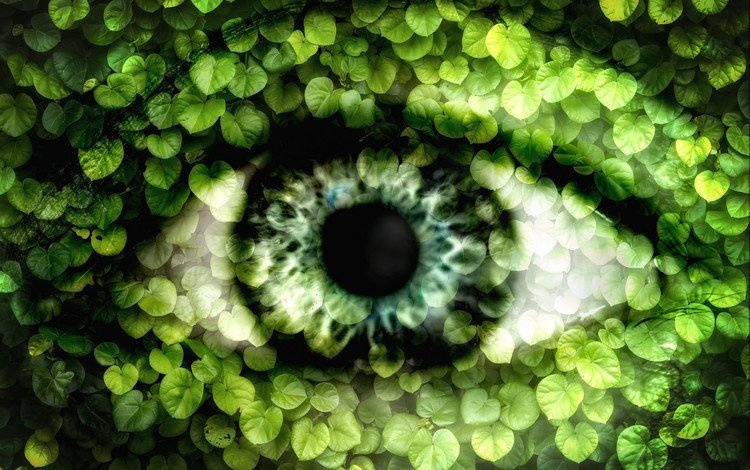 зелень, листья, стиль, взгляд, фэнтези, глаз, зрачок, greens, leaves, style, look, fantasy, eyes, the pupil
