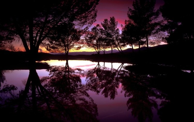 деревья, вода, вечер, озеро, закат, отражение, силуэты, trees, water, the evening, lake, sunset, reflection, silhouettes