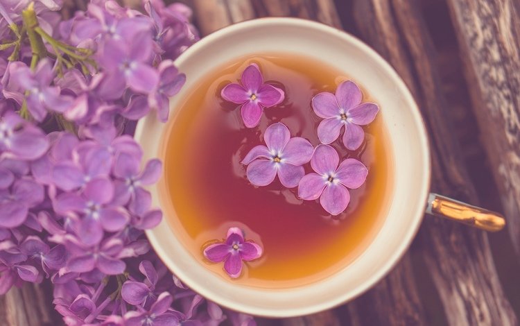 цветы, настроение, кружка, чай, сирень, flowers, mood, mug, tea, lilac
