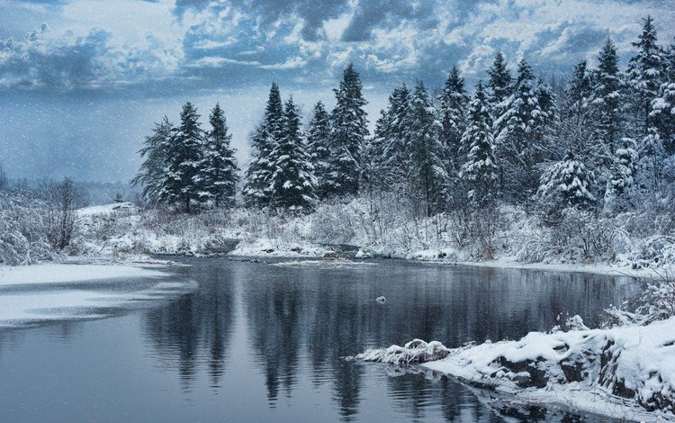 деревья, озеро, снег, природа, лес, зима, trees, lake, snow, nature, forest, winter