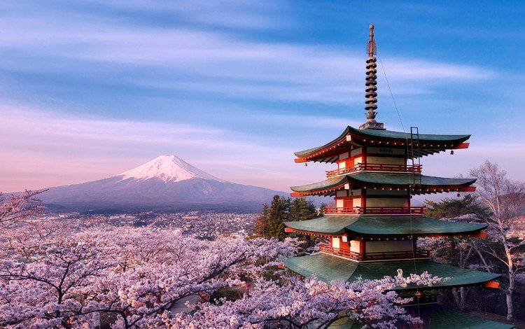 пагода, япония, сакура, вулкан фудзияма, pagoda, japan, sakura, the fuji volcano