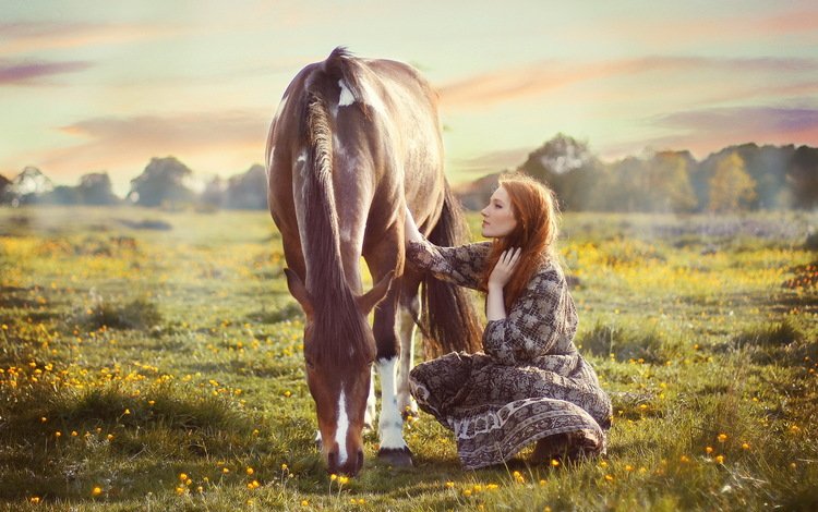 цветы, лошадь, горы, природа, девушка, поле, flowers, horse, mountains, nature, girl, field