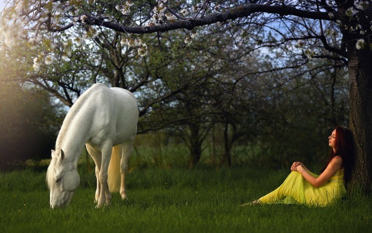 лошадь, трава, природа, дерево, девушка, профиль, конь, желтое платье, horse, grass, nature, tree, girl, profile, yellow dress