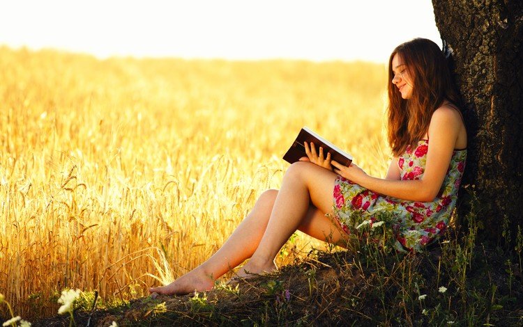 дерево, девушка, поле, пшеница, книга, tree, girl, field, wheat, book
