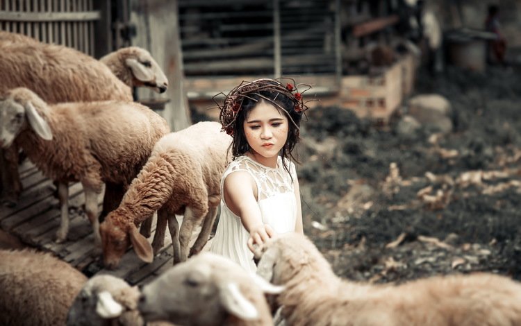 животные, дети, девочка, забота, овцы, венок, animals, children, girl, care, sheep, wreath