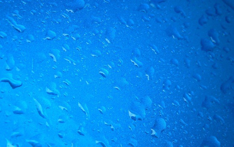 вода, синий, капли, дождь, malcer, влажный, water, blue, drops, rain, wet