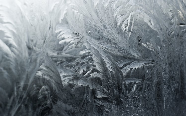 текстура, зима, узор, мороз, иней, узоры, стекло, texture, winter, pattern, frost, patterns, glass
