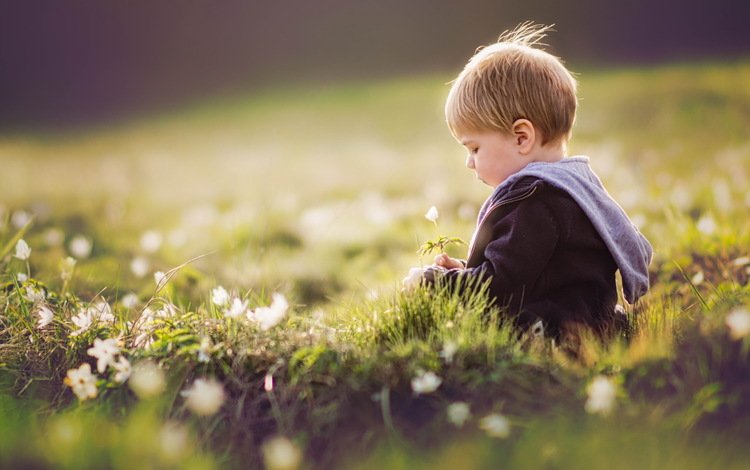цветы, трава, лето, дети, ребенок, мальчик, flowers, grass, summer, children, child, boy