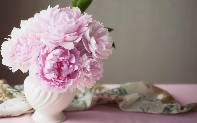 цветы, розовые, ваза, пионы, flowers, pink, vase, peonies