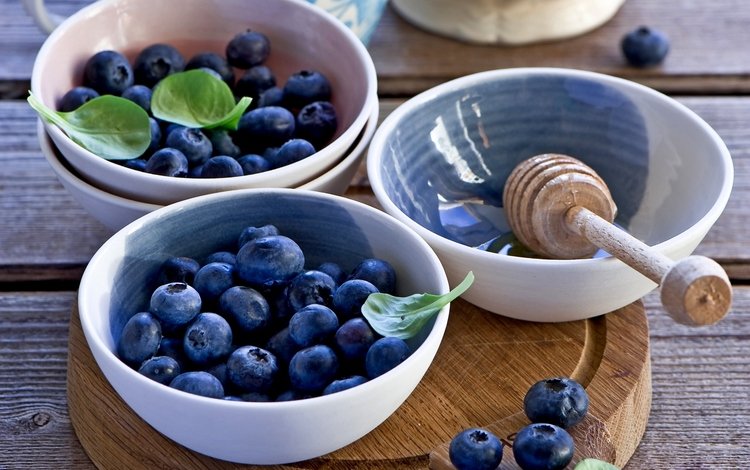 ягоды, черника, натюрморт, anna verdina, черничный, berries, blueberries, still life, blueberry
