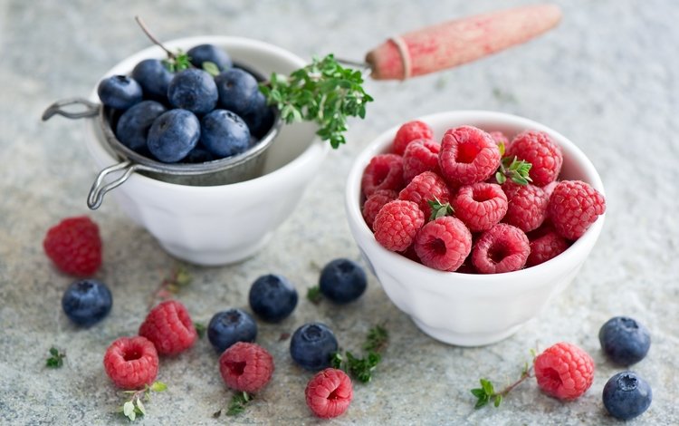 малина, ягоды, черника, натюрморт, anna verdina, raspberry, berries, blueberries, still life
