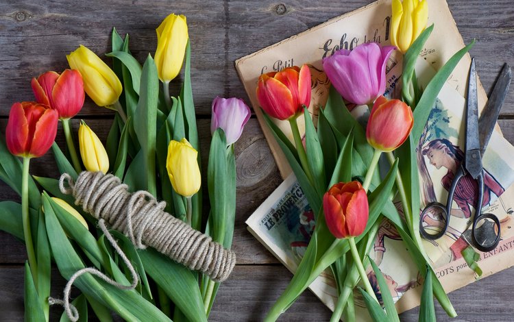 цветы, тюльпаны, веревка, ножницы, натюрморт, anna verdina, flowers, tulips, rope, scissors, still life