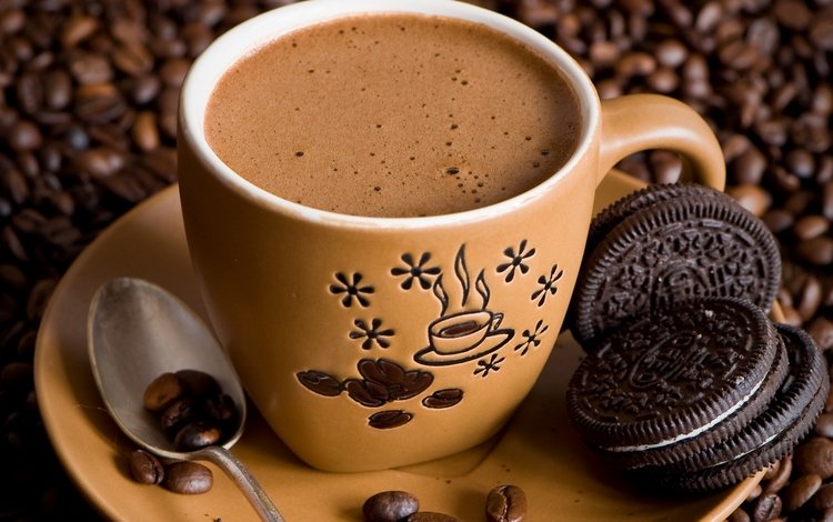 зерна, кофе, чашка, кофейные, кофейные зерна, печенье, шоколадное, anna verdina, grain, coffee, cup, coffee beans, cookies, chocolate