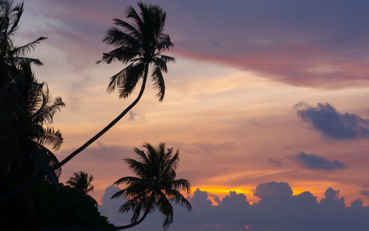 небо, природа, закат, пальмы, океан, мальдивы, the sky, nature, sunset, palm trees, the ocean, the maldives