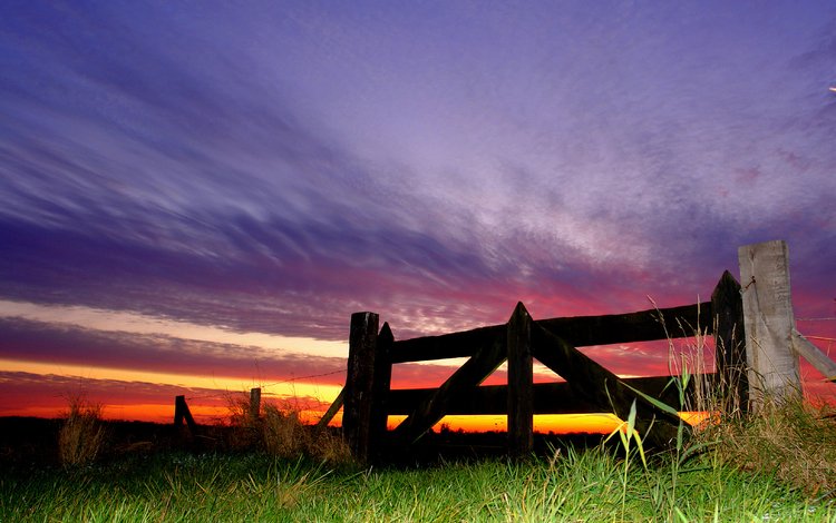 небо, трава, природа, закат, забор, the sky, grass, nature, sunset, the fence
