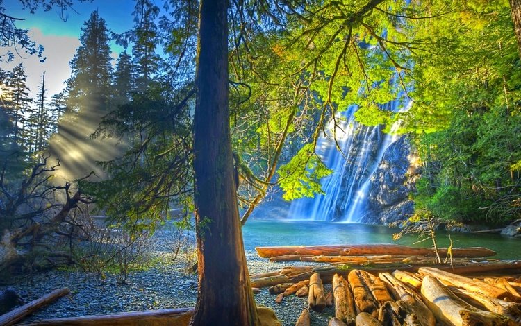 деревья, вода, озеро, природа, лес, пейзаж, водопад, бревна, trees, water, lake, nature, forest, landscape, waterfall, logs
