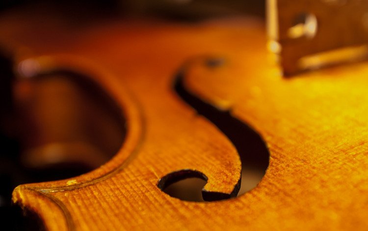 макро, скрипка, музыка, виолончель, дека, macro, violin, music, cello, deca