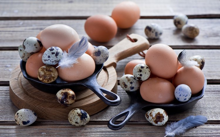 яйца, куриные, anna verdina, перепелиные, яицо, eggs, chicken, quail, egg