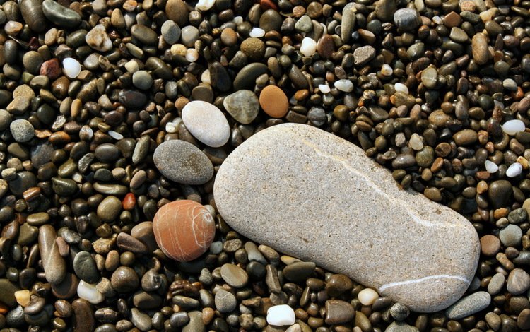 камни, галька, нога, след, ступня, stones, pebbles, leg, trail, foot