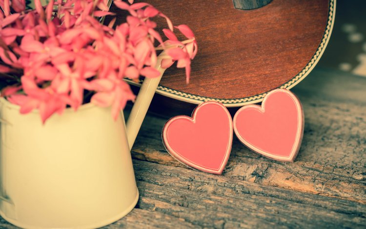 цветы, гитара, сердце, любовь, романтика, розовые, flowers, guitar, heart, love, romance, pink