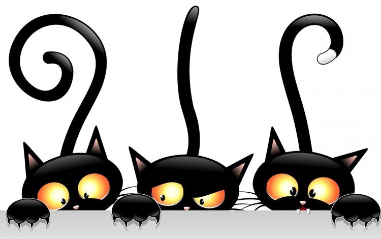 глаза, вектор, взгляд, ушки, коты, чёрные, хвосты, eyes, vector, look, ears, cats, black, tails